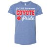 3413Y Youth Extra Soft Tri-blend Tee Thumbnail